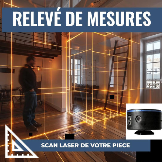 RELEVE DE MESURE SUR SITE